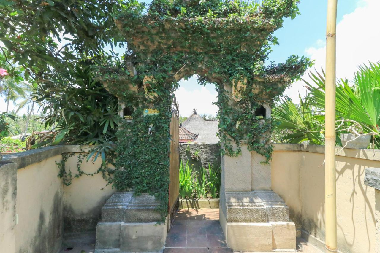Ubud Chez Nyoman Εξωτερικό φωτογραφία
